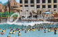 Biggest Outdoor Water Park Wave Pool Construction Strong Power for Outdoor Aqua Park