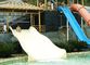 Fiberglass Kids' Water Slides, Outdoor Pool Water Slide For Children With a Safety  Height