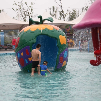 Carp Colorful Semprot Taman Fiberglass Peralatan Untuk Anak / Anak Air Playground