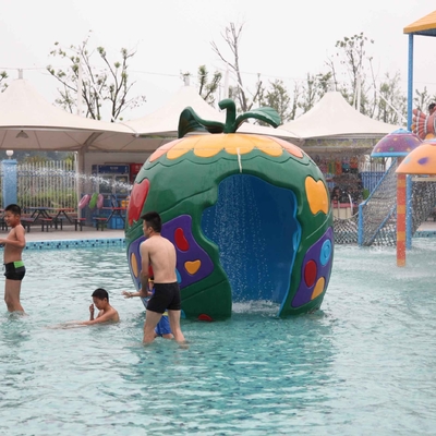 Alat Spray Carp Carp yang berwarna-warni / Taman Bermain Anak-Anak