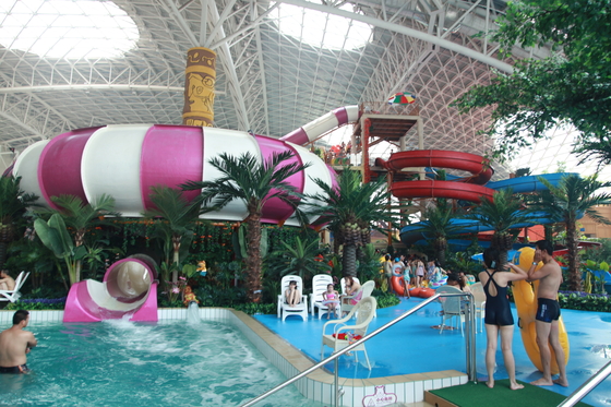 Ruang Bowl Water Slide Games, Fiberglass Renang Slides 30mx72m Lantai ruang